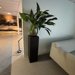 Kunstplant op sokkel Colours&Green, Spathiphyllum